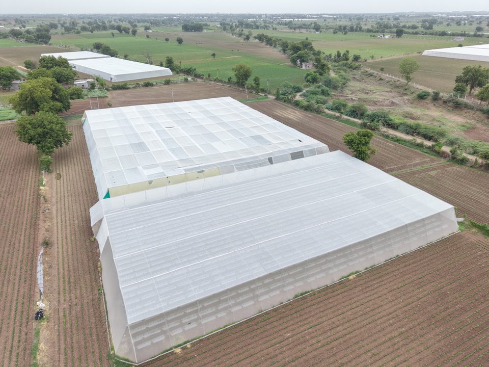 Avishkar Agribiz greenhouse structure among surrounding fields