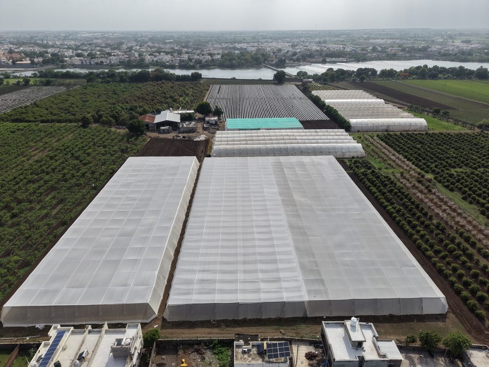 Two long Avishkar Agribiz polyhouses seen from the air