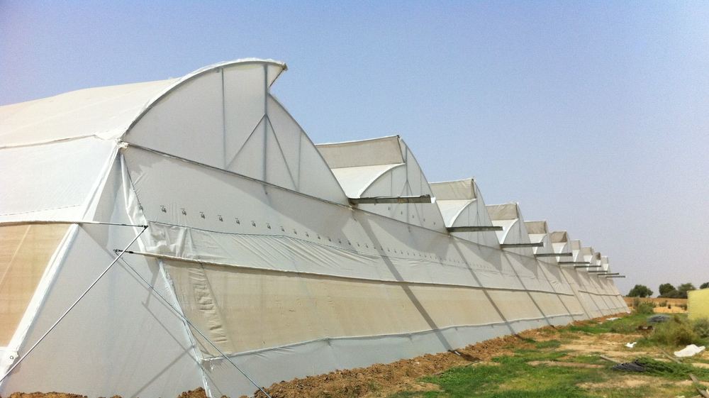 Greenhouse project by Avishkar Agribiz Pvt. Ltd.