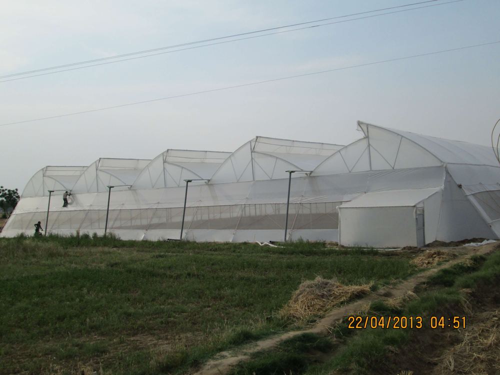 Greenhouse project by Avishkar Agribiz Pvt. Ltd.
