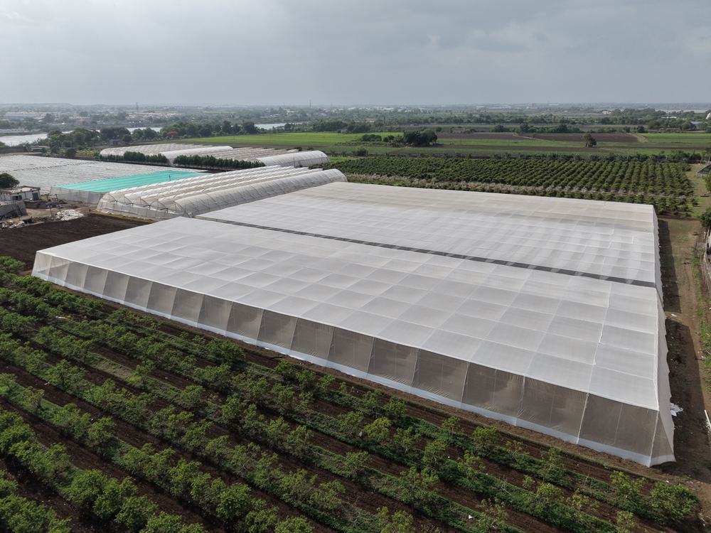 Greenhouse project by Avishkar Agribiz Pvt. Ltd.