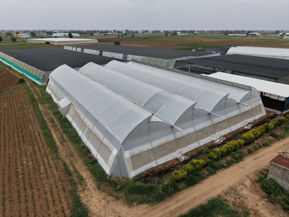 Greenhouse project by Avishkar Agribiz Pvt. Ltd.