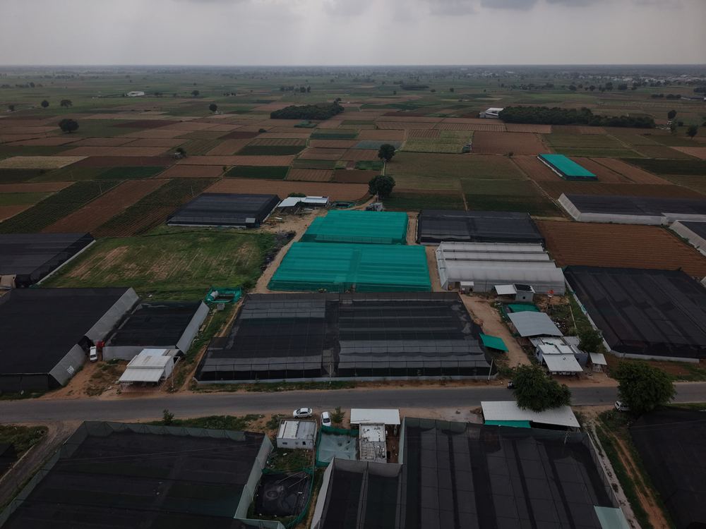 Greenhouse project by Avishkar Agribiz Pvt. Ltd.