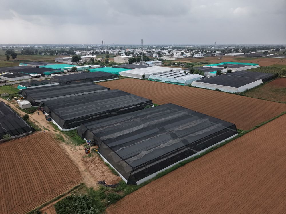 Greenhouse project by Avishkar Agribiz Pvt. Ltd.