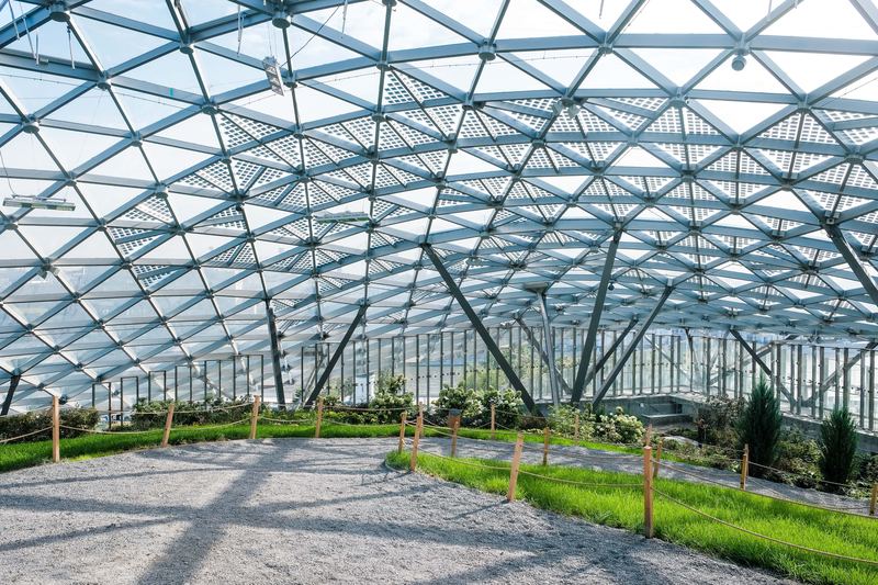Avishkar Agribiz polyhouse structure installed on a working farm